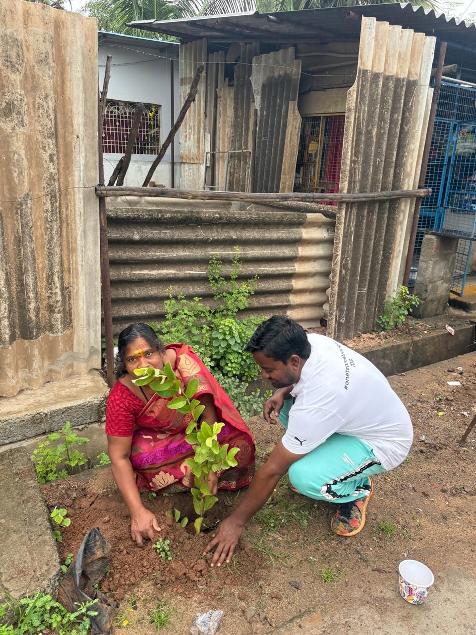 A woman and a volunteer planting a sapling by the roadside
