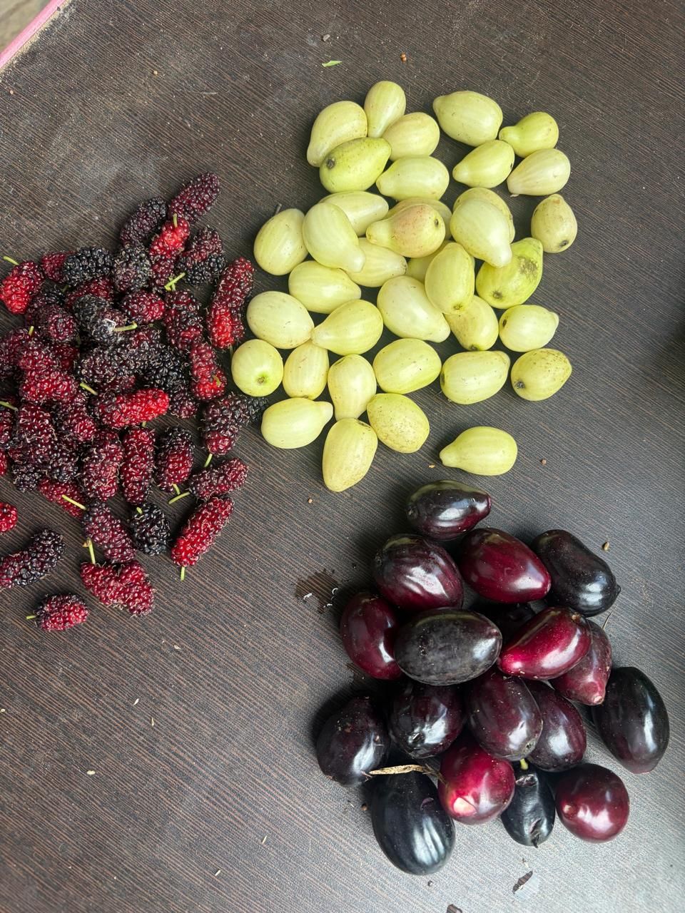 Freshly picked mulberries, pale green fruits and black jamun